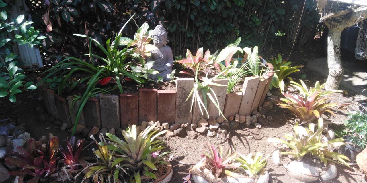 فيلا Tiki House بورا بورا المظهر الخارجي الصورة
