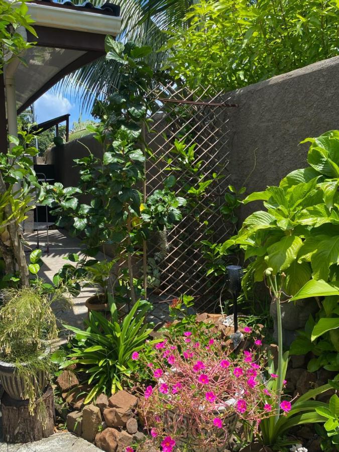 فيلا Tiki House بورا بورا المظهر الخارجي الصورة